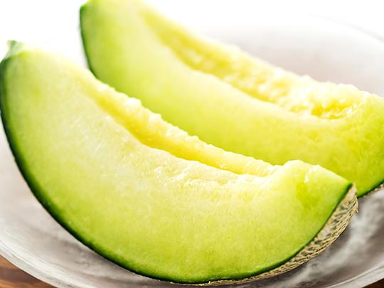 【予約】肥後グリーンメロン1玉（送料別途）