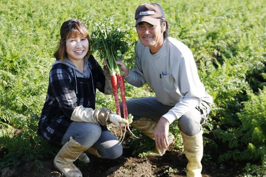 【お試し】旬の野菜セット8品（送料込み）