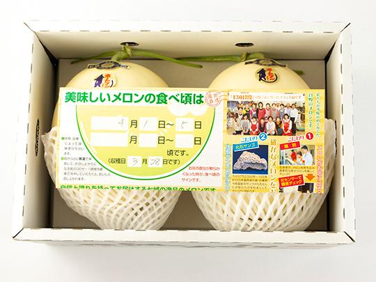【予約限定】ホームランメロン2玉