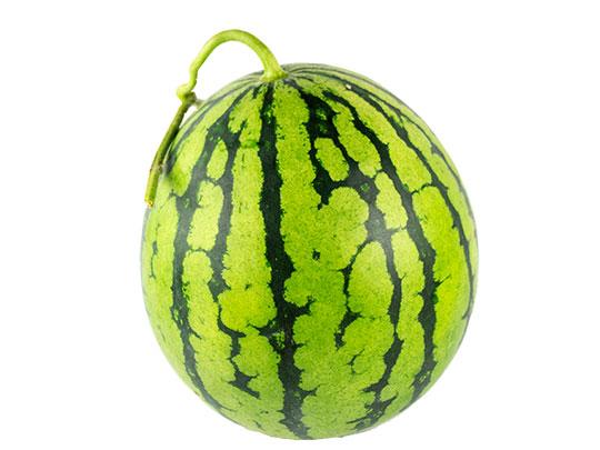 【予約】熊本県産すいか1玉