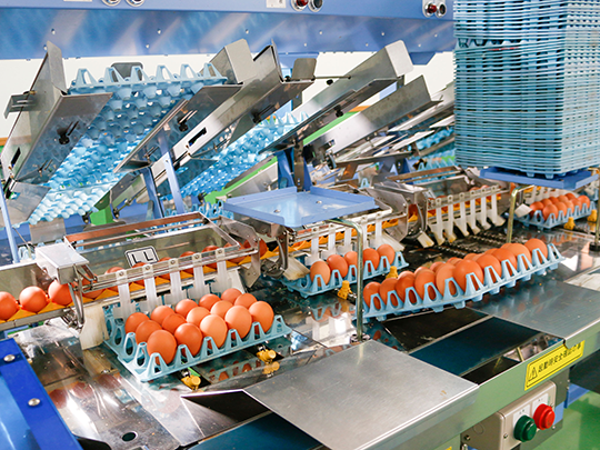 旬の野菜とたまごのセット（送料別途）