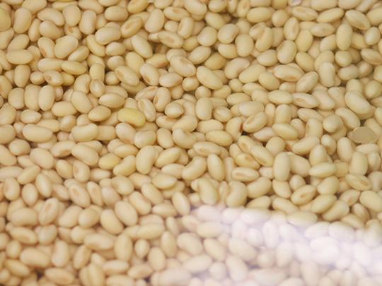 加来豆腐店のひろす2枚入り