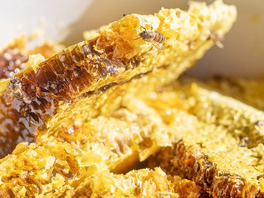 日本ミツバチはちみつ  百花蜜 125g