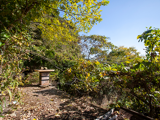 日本ミツバチはちみつ  百花蜜 125g