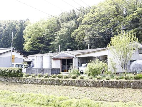 斉藤製茶園の極上一煎　八十八夜かぶせ茶