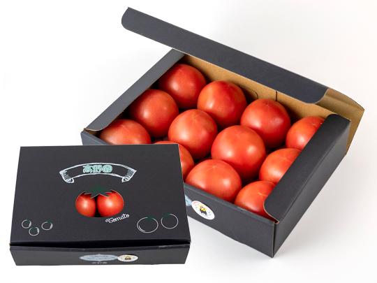 桃太郎ホープ とまと 箱入り