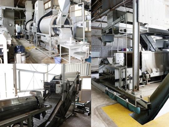 斉藤製茶園の極上一煎　八十八夜かぶせ茶