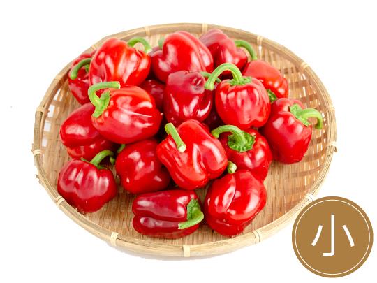 国産肉厚パプリカ小(赤20)