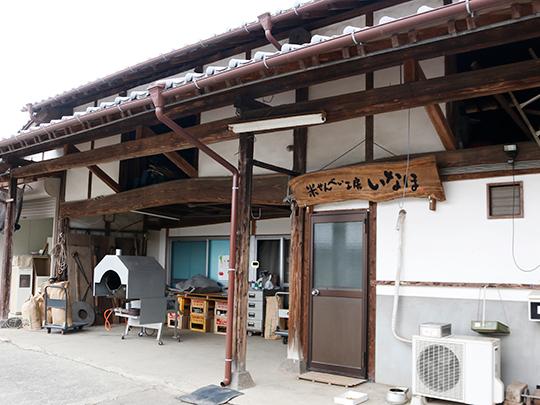 原農場の水出し麦茶12パック