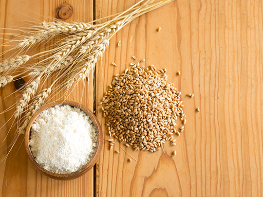 原農場の小麦粉（薄力粉）400g