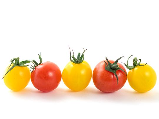 きくちピクルスミニトマト130g小瓶