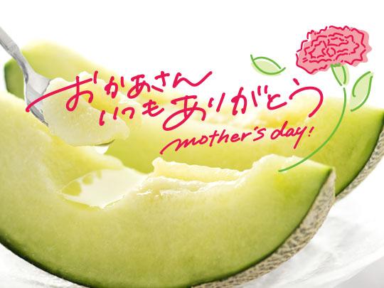 【母の日限定】肥後グリーンメロン2玉（送料込み）