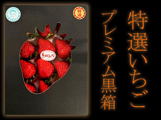特選いちごプレミアム黒箱（約12粒）七楽の郷